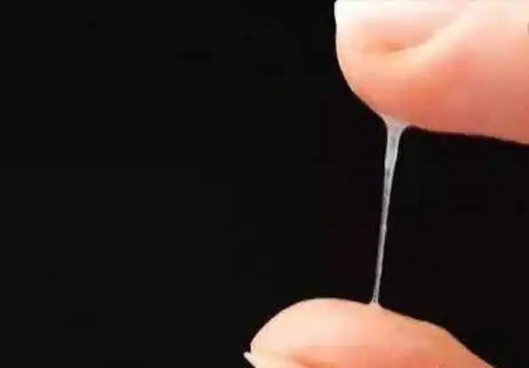 女性一旦发现内裤上有这种分泌物千万要注意可能是有好孕了