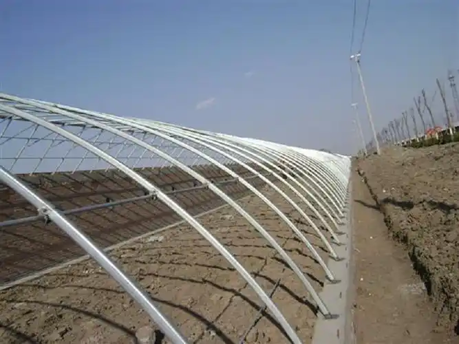 河南连体温室大棚欢迎来电