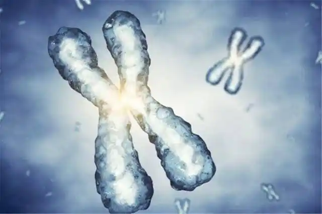 怀孕4个月,医生说唐筛结果高风险,准妈妈的心情有些复杂_检查_胎儿