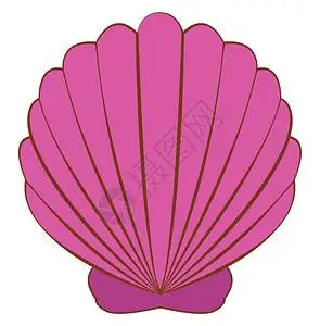 粉色卡通画粉色贝壳插图白色背景的矢量插画