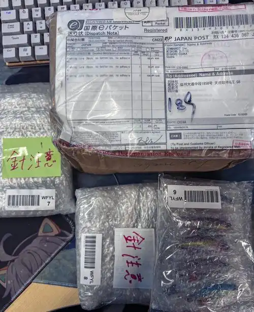 日本雅虎竞拍网购入拟饵