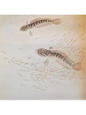 苏绣定制图库 花鸟虫鱼 名家画作 - 芝然斋苏绣艺术品