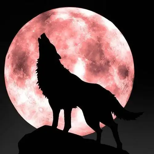 汤晨影视制片人