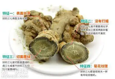 田三七和三七的区别专家详解其功效和作用