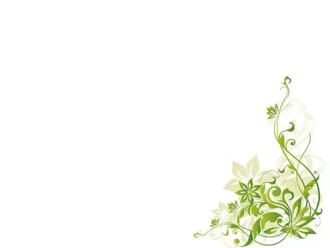 简约花边ppt模板