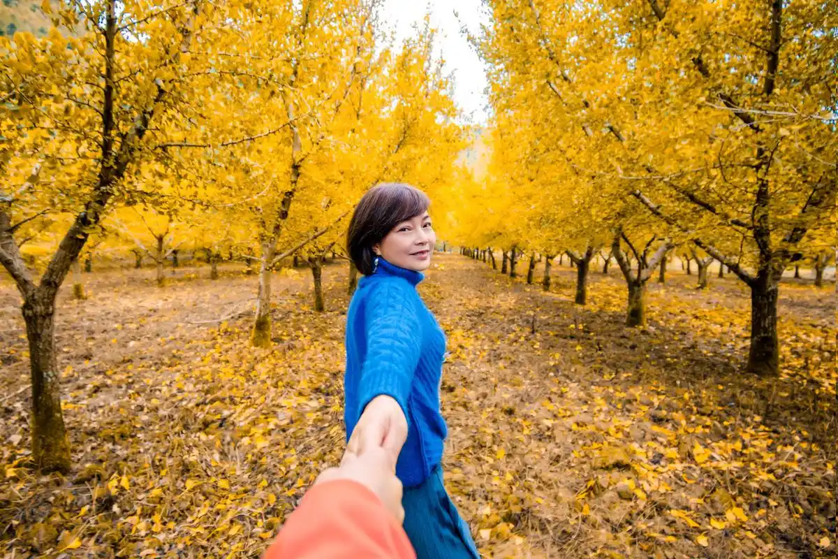 中老年人拍暖秋人像,这7个姿势技巧可以学,拍照好看有意境