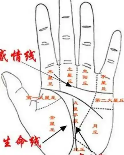 文化_手纹_看手相