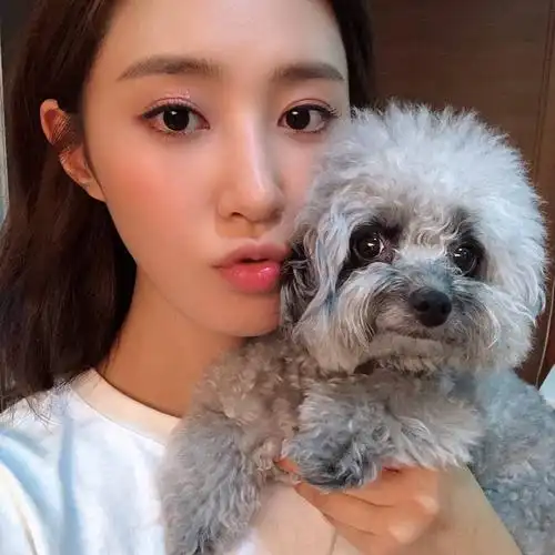 少女时代 权俞利 yuri