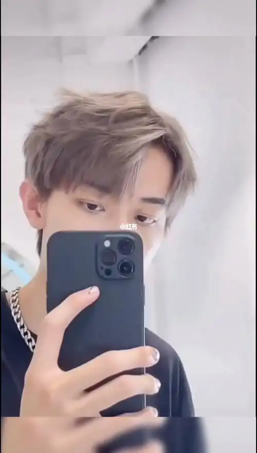 男士发型王一博同款发型亚麻灰发色