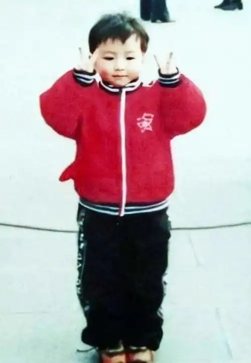 影视艺人李连杰是哪年出生的(李连杰动作好帅)(4)