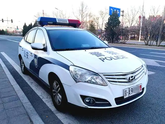 你好我的警车兄弟