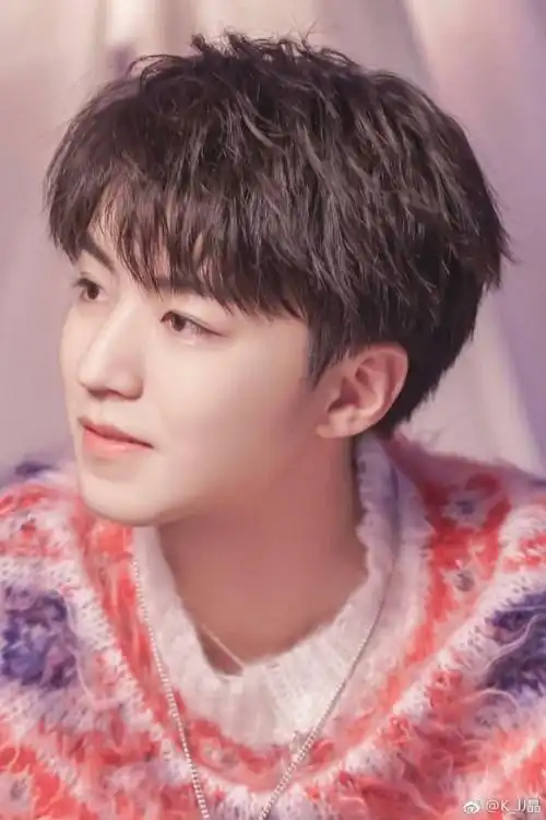 王俊凯:高冷影帝怀里来.