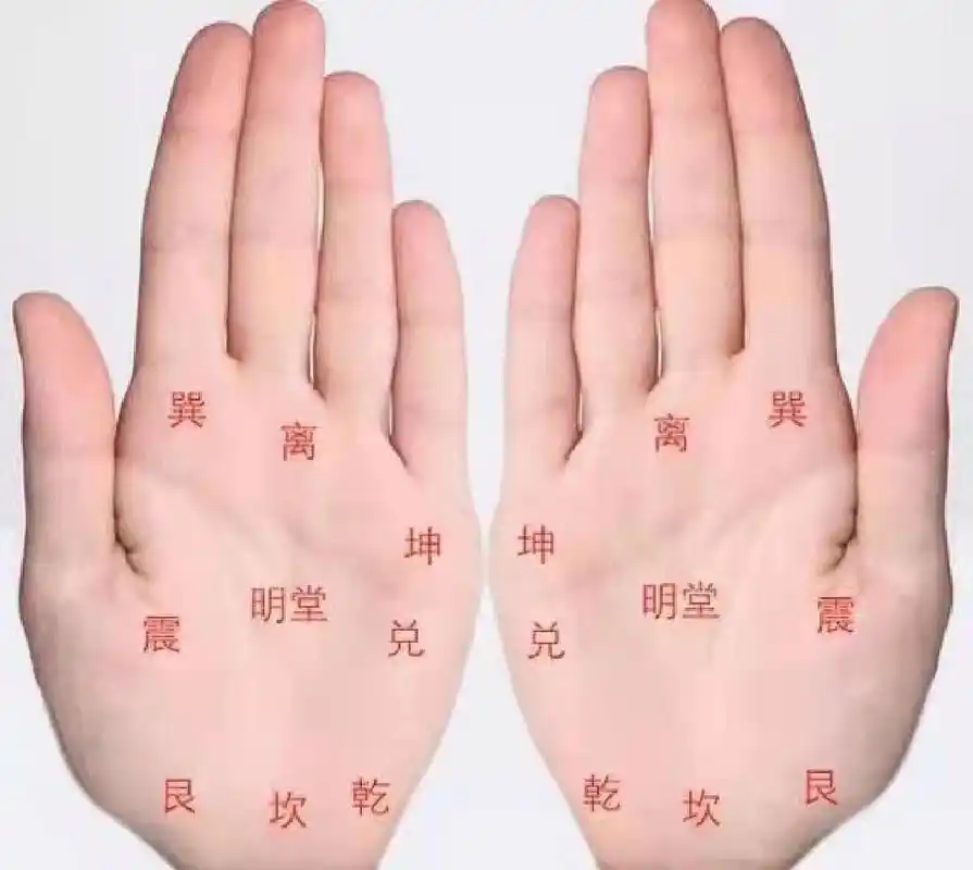 手诊分享掌中八卦-乾位〖1〗 1.乾位在兑位和坎位之间,手腕横纹之上.