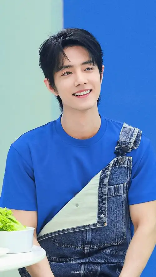 肖战蓝t背带裤##肖战rio全球品牌代言人