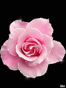 空间素材---动态花底