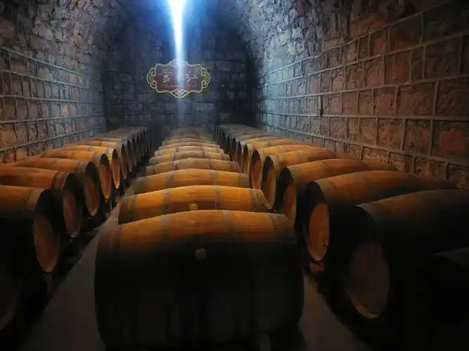 云南红酒庄(2021.1.13)弥勒市