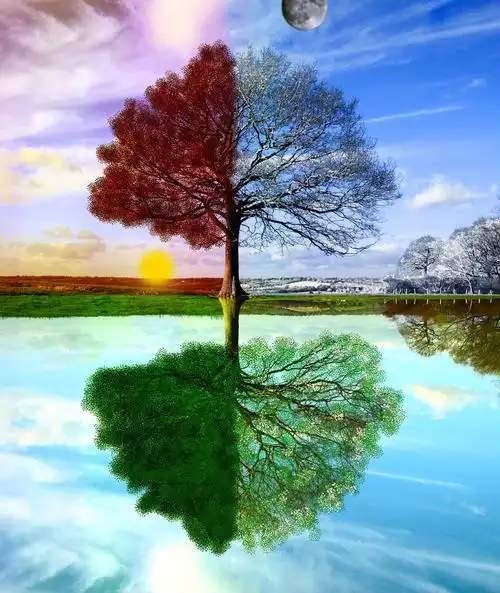 50张四季对比的摄影照片   创意悠悠花园