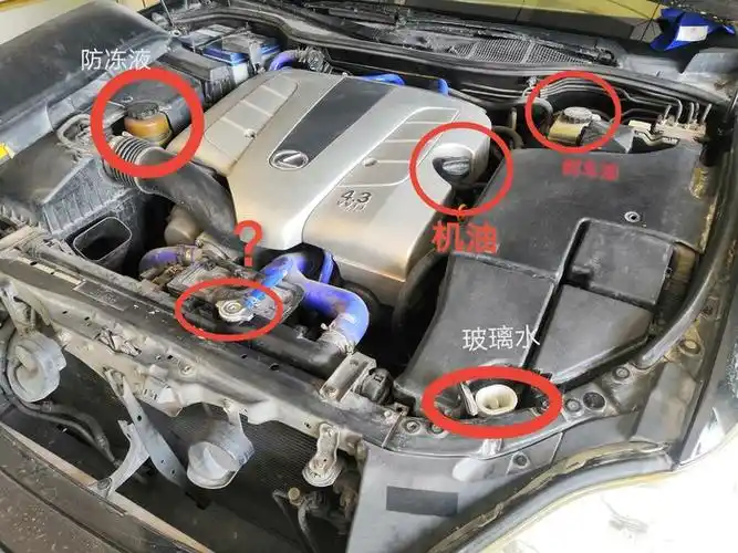 公司有台ls430,防冻液加水口是在哪里?