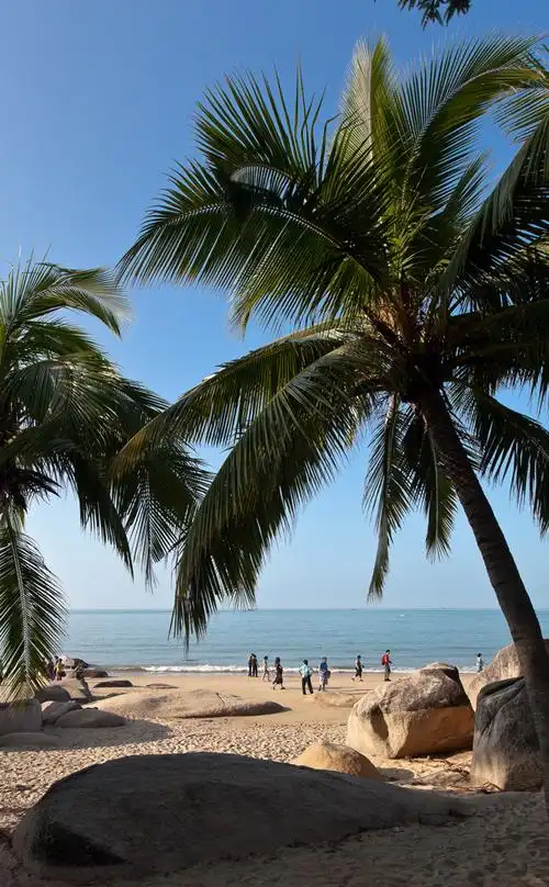 【图片19】三亚天涯海角的椰树风光--蜂鸟论坛照片套图