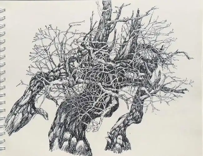 大美庐阳 ——紫蓬山写生作品选集