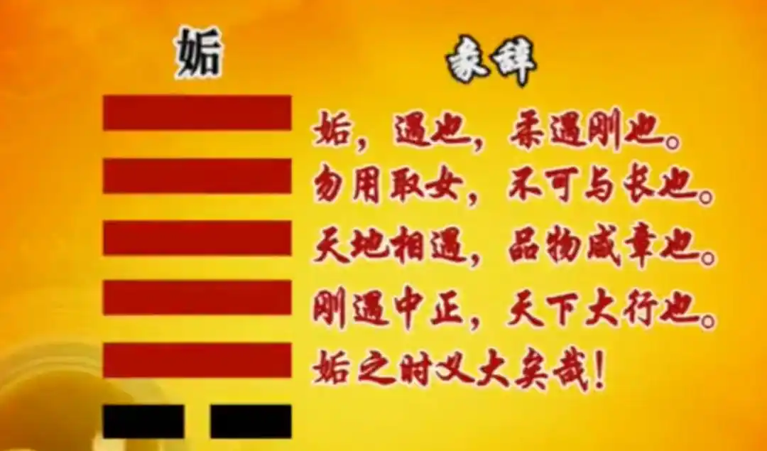 易经笔记《易经的智慧》第107集:姤卦(上)不期而遇