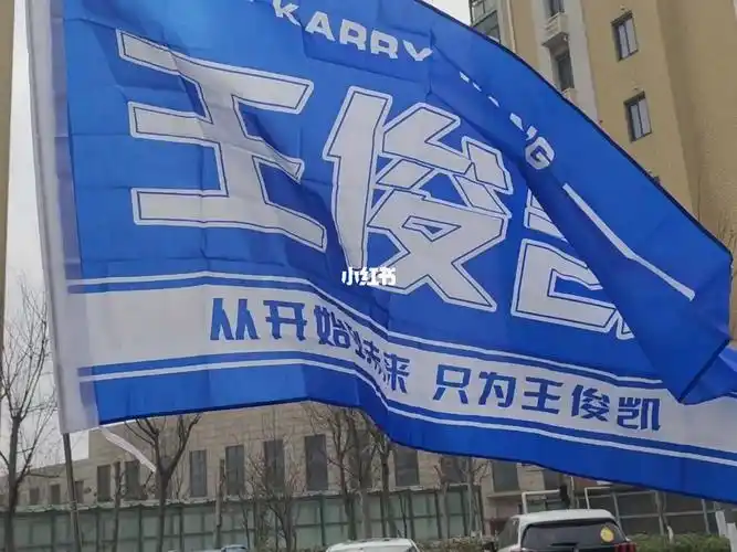 王俊凯 #王俊凯周边  #社交牛逼症  #王俊凯应援大旗