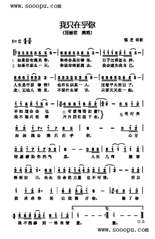 我只在乎你简谱音画mp3