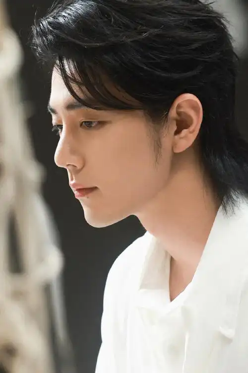 肖战长发侧颜库存
