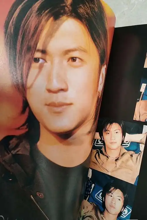 青春岁月偶像~谢霆锋年轻图片集