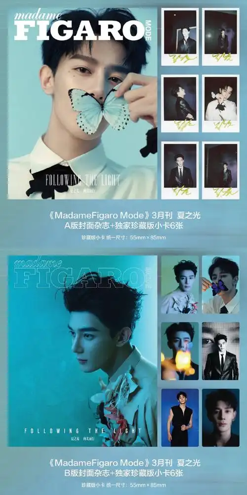 杂志,真的不考虑买一本嘛走过路过不要错过,夏之光费加罗庄周梦蝶封面