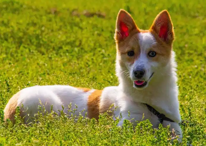 透着蓝光的一只眼睛