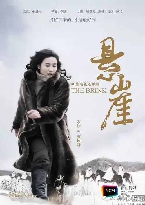 少帅电视剧宋佳剧照_我最喜欢的电视节目《悬崖》-票房剧透网