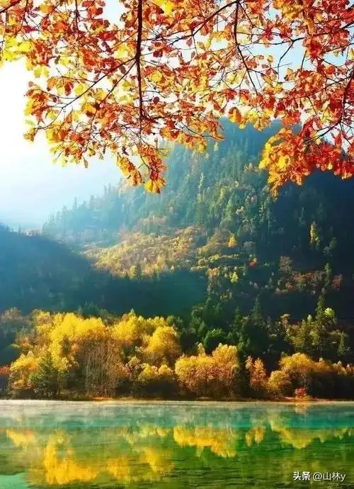 九寨沟的秋天图片60幅,美如仙境!