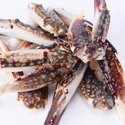 舟山新鲜梭子蟹蟹脚超大冰冻鲜活蟹钳生鲜大脚梭子蟹