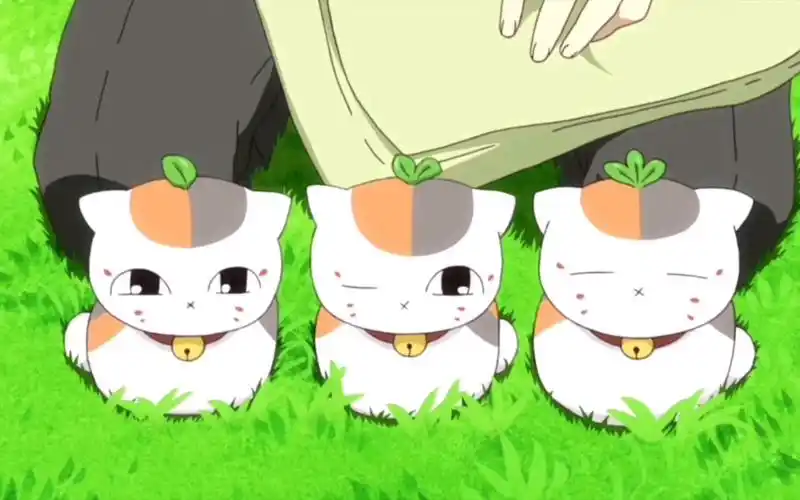 夏目友人帐猫咪老师吃了妖果一分三好想rua