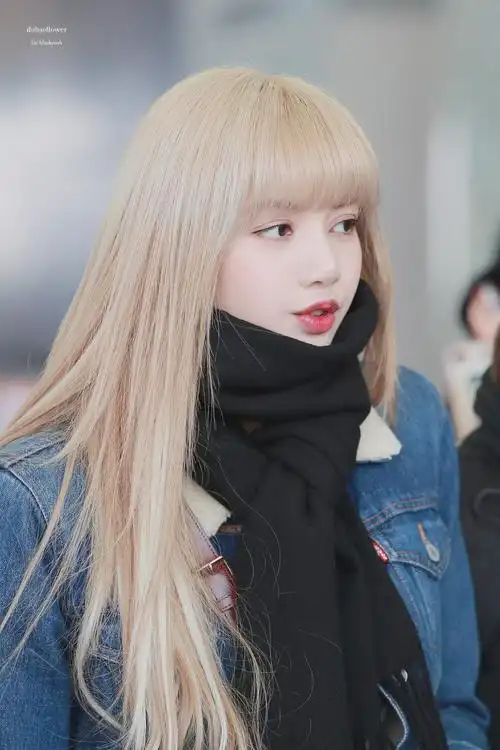 lisa cr.logo