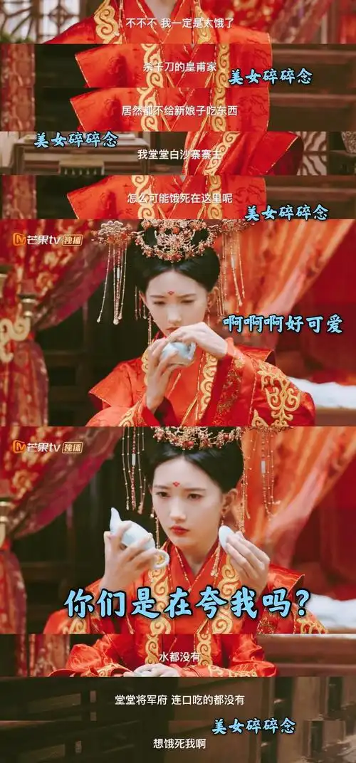 女土匪和将军府少爷的小甜剧(夫人,大可不必)剧评