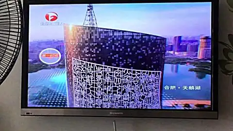 安徽经济生活频道 频道包装 版权页 id(天鹅湖)