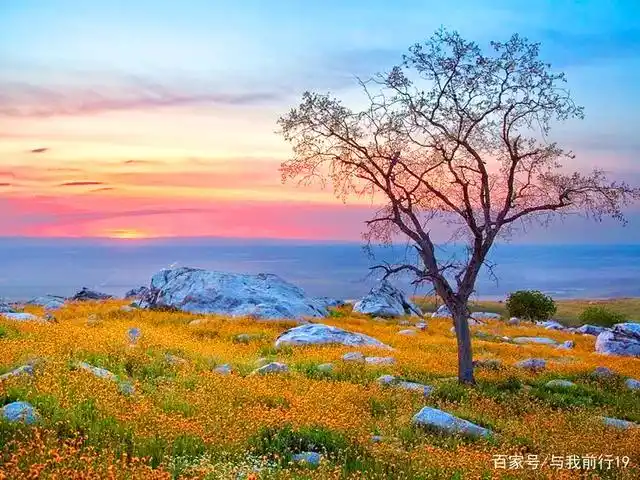 震撼心灵的美图,如诗一般的人间仙境