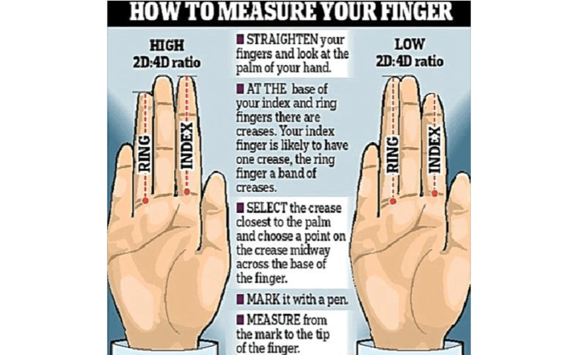 手指长度透露人的性格和才干