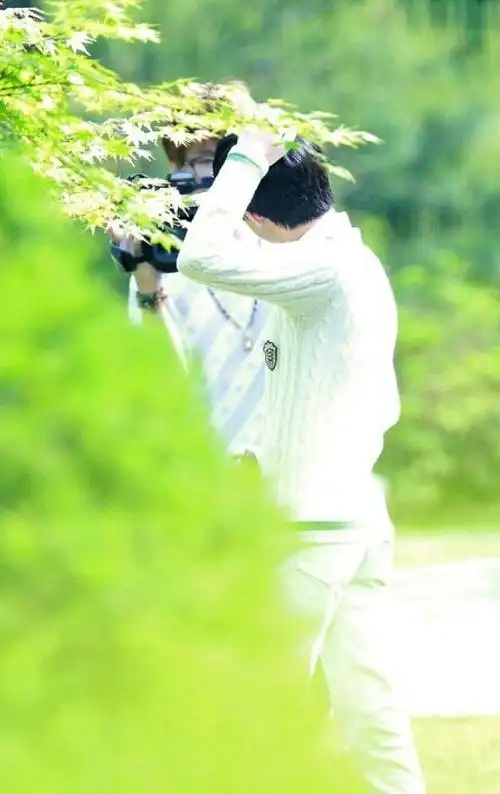 易烊千玺〗壁纸 绿.