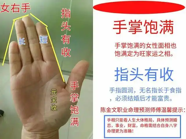 讲"手相"终极篇79