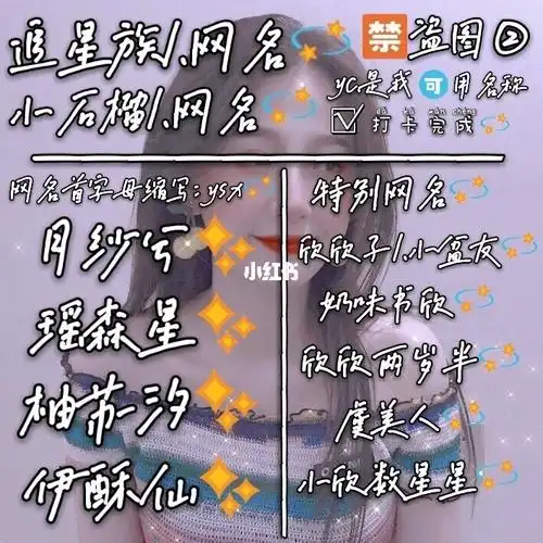 追你星女孩的网名