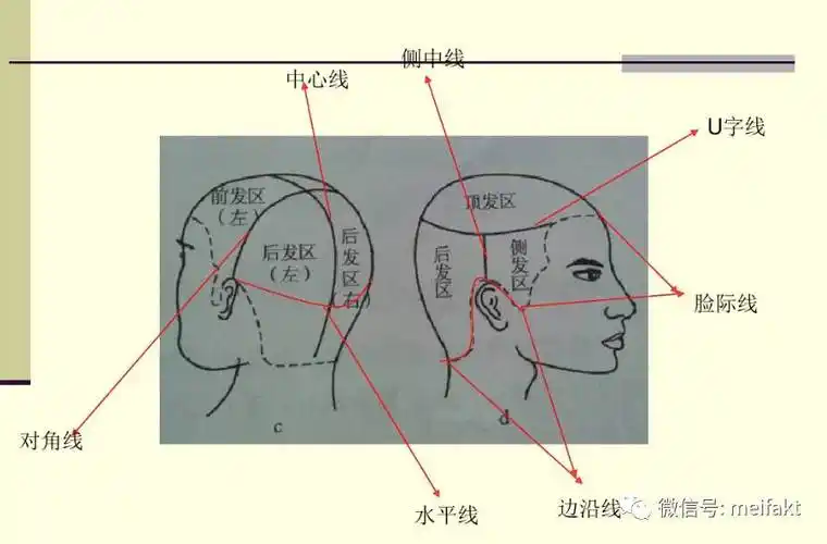 剪发基本慨念头型的线条