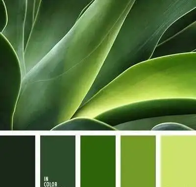 穿绿色风衣配白裤,花开时节美得真高级|配色|同色系_网易订阅