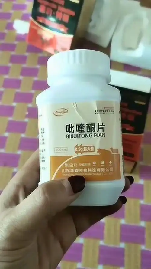 吡喹酮口服驱虫药一瓶一百片孕畜可用