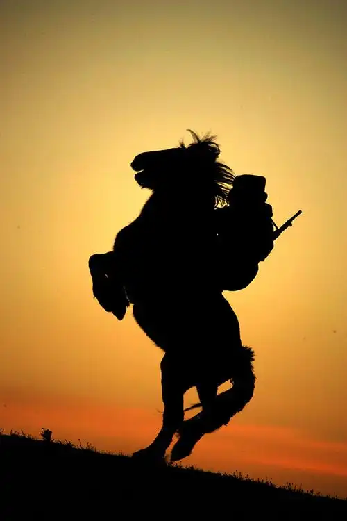 魏士江摄影《立马横刀》