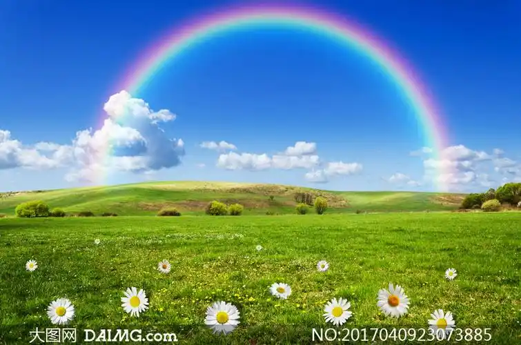 蓝天白云彩虹与芳草地摄影高清图片
