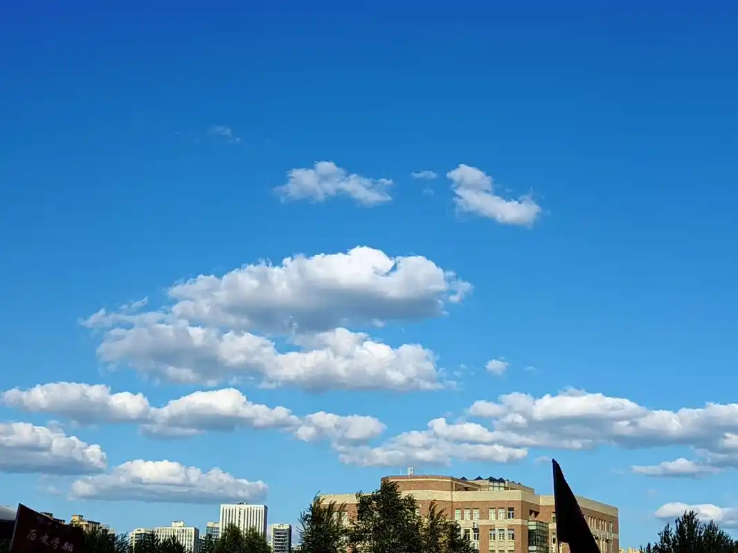 云朵在天空中悠闲地漂浮,仿佛触手可及.