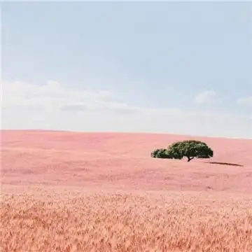 2020七月寓意好的风景头像大全 能带来好运的微信唯美头像